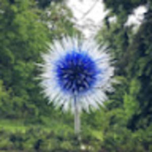 Meet your Posher, Irene